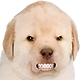 https://upforme.ru/uploads/001c/14/53/3/328033.png