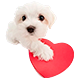 https://upforme.ru/uploads/001c/14/53/3/340886.png