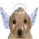 https://upforme.ru/uploads/001c/14/53/3/543720.png