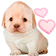 https://upforme.ru/uploads/001c/14/53/3/815689.png