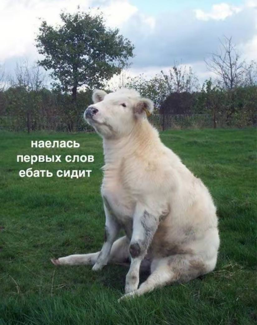 https://upforme.ru/uploads/001c/14/53/7/230423.jpg