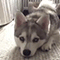 https://upforme.ru/uploads/001c/14/5b/7/564612.gif