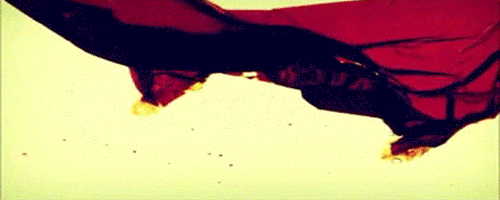 https://upforme.ru/uploads/001c/15/9c/4/580032.gif