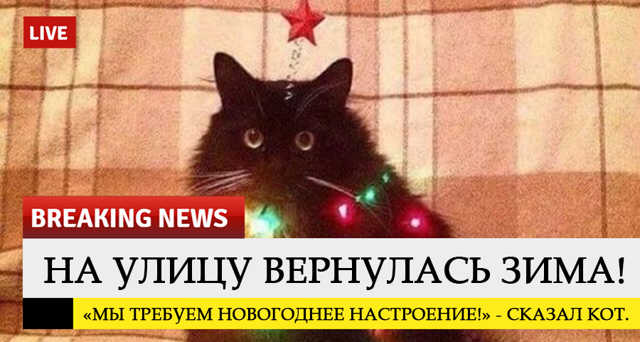 https://upforme.ru/uploads/001c/15/dc/2/429078.png