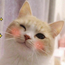 https://upforme.ru/uploads/001c/16/ee/5/757181.png