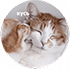 https://upforme.ru/uploads/001c/19/7e/3/177467.png