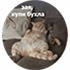 https://upforme.ru/uploads/001c/19/7e/3/46549.png