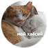 https://upforme.ru/uploads/001c/19/7e/3/538494.png