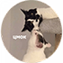 https://upforme.ru/uploads/001c/19/7e/3/556081.png