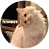 https://upforme.ru/uploads/001c/19/7e/3/630563.png