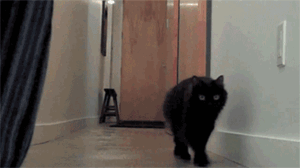 https://upforme.ru/uploads/001c/19/7e/3/648604.gif