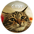 https://upforme.ru/uploads/001c/19/7e/3/761938.png