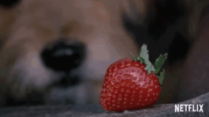 https://upforme.ru/uploads/001c/19/7e/3/998113.gif