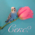 https://upforme.ru/uploads/001c/19/84/5/453099.png