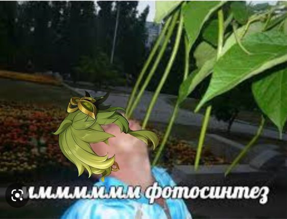 https://upforme.ru/uploads/001c/19/f6/123/307069.jpg
