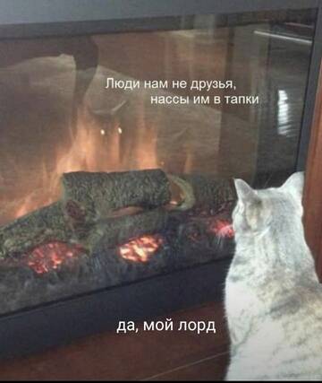 https://upforme.ru/uploads/001c/1a/06/5/t955750.jpg