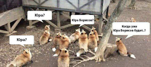 https://upforme.ru/uploads/001c/1a/06/6/969526.jpg