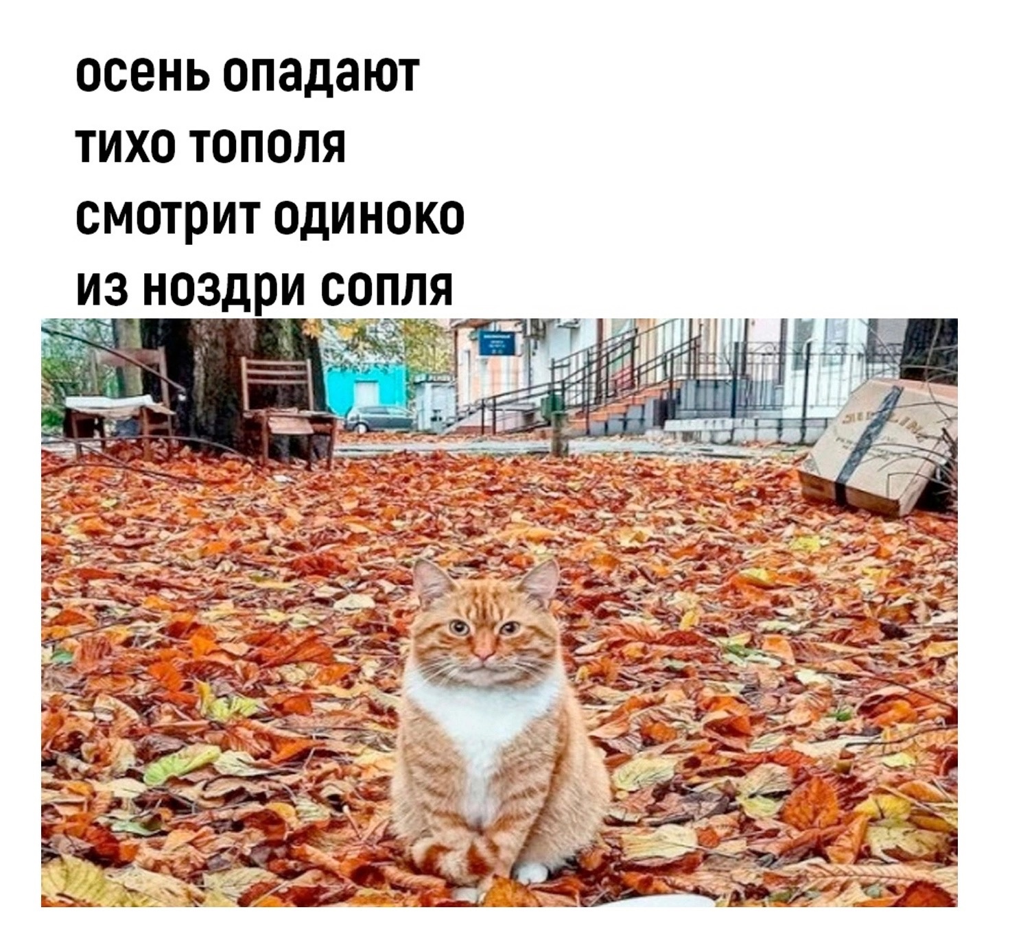 https://upforme.ru/uploads/001c/1a/2f/54/469337.jpg