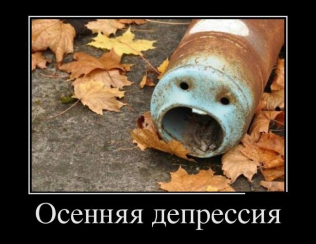 https://upforme.ru/uploads/001c/1a/2f/54/87198.jpg