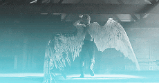 https://upforme.ru/uploads/001c/1b/19/9/124236.gif