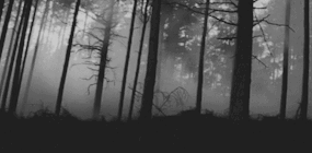 https://upforme.ru/uploads/001c/1b/37/10/28540.gif