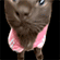 https://upforme.ru/uploads/001c/1b/37/7/t259431.gif