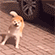 https://upforme.ru/uploads/001c/1b/37/7/t974391.gif