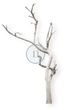 https://upforme.ru/uploads/001c/1b/e1/2/631549.png