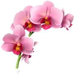 https://upforme.ru/uploads/001c/1e/c3/2/456569.png