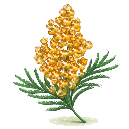 https://upforme.ru/uploads/001c/1e/c3/2/548184.png