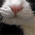 https://upforme.ru/uploads/001c/1f/14/2/161905.gif