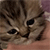 https://upforme.ru/uploads/001c/1f/14/2/290779.gif