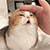 https://upforme.ru/uploads/001c/1f/14/2/464404.gif