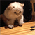 https://upforme.ru/uploads/001c/1f/14/2/64174.gif