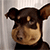 https://upforme.ru/uploads/001c/1f/14/2/655938.gif
