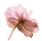 https://upforme.ru/uploads/001c/1f/75/246/11449.png