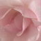 https://upforme.ru/uploads/001c/1f/75/246/542601.png