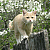 https://upforme.ru/uploads/001c/21/f3/31/567502.png