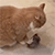 https://upforme.ru/uploads/001c/23/e3/11/632045.gif