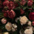 https://upforme.ru/uploads/001c/23/e3/122/397587.png
