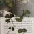 https://upforme.ru/uploads/001c/23/e3/33/288191.png