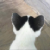 https://upforme.ru/uploads/001c/23/e3/553/796185.png