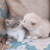 https://upforme.ru/uploads/001c/23/e3/9/292524.gif