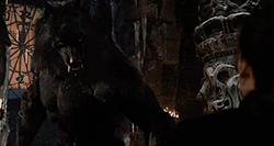 https://upforme.ru/uploads/001c/23/f5/72/666562.gif