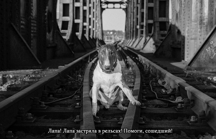 https://upforme.ru/uploads/001c/26/3d/2/364042.png