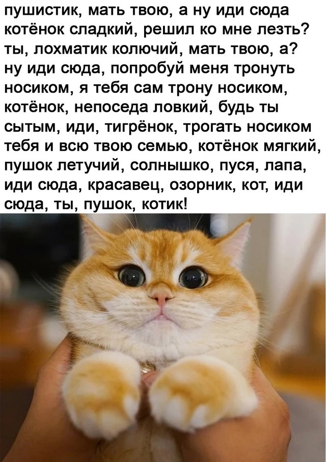 https://upforme.ru/uploads/001c/27/f5/9/56790.jpg