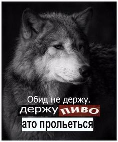https://upforme.ru/uploads/001c/28/f5/31/466152.jpg