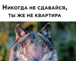 https://upforme.ru/uploads/001c/28/f5/31/927760.jpg