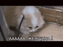 https://upforme.ru/uploads/001c/28/f5/45/t566488.gif