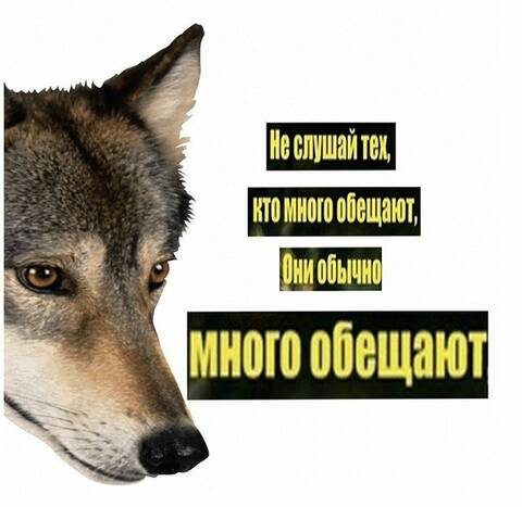 https://upforme.ru/uploads/001c/28/f5/59/t255547.jpg